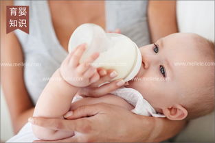 母嬰生活護理 科學(xué)育兒，守護新生旅程